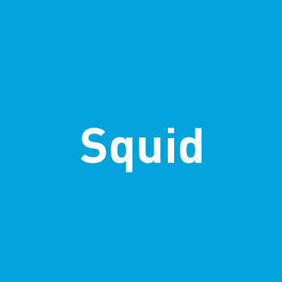 お知らせ！Squidが3.4.6にバージョンアップ！