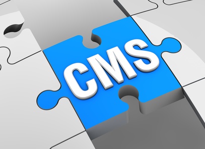 【CMS】ピックアップ7選まとめ---「WordPress」から「baserCMS」まで、メジャーなCMSが安全