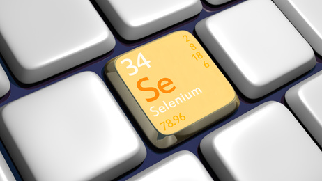 【OSS】「Selenium Committer Day 2017」レポート---Webアプリケーションテスト自動化ツール「Selenium」の今と未来